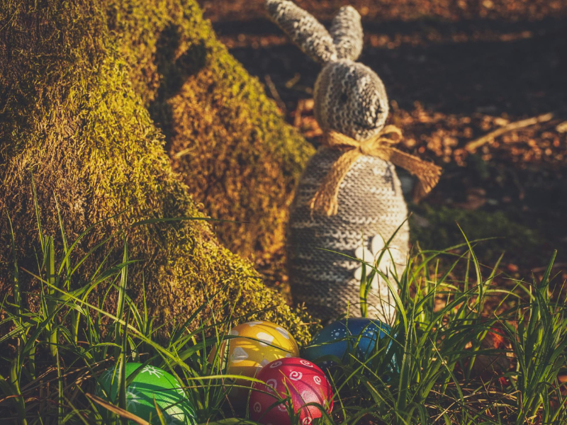 Easter Egg Hunt Ideas for a Memorable Celebration